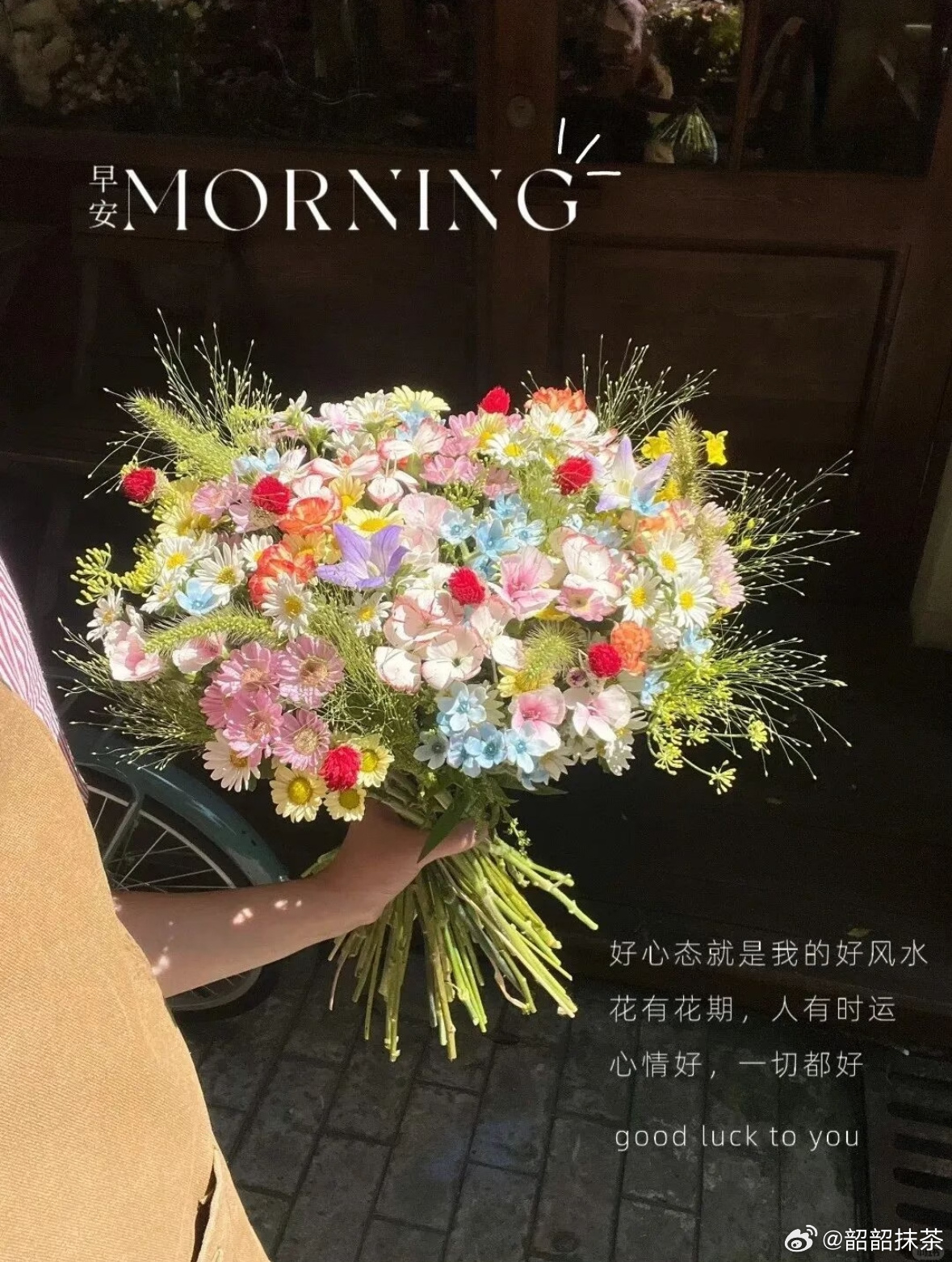早安  心有暖意，岁月成诗，新的一天带着微笑出发，愿你与温暖不期而遇，生活明朗可