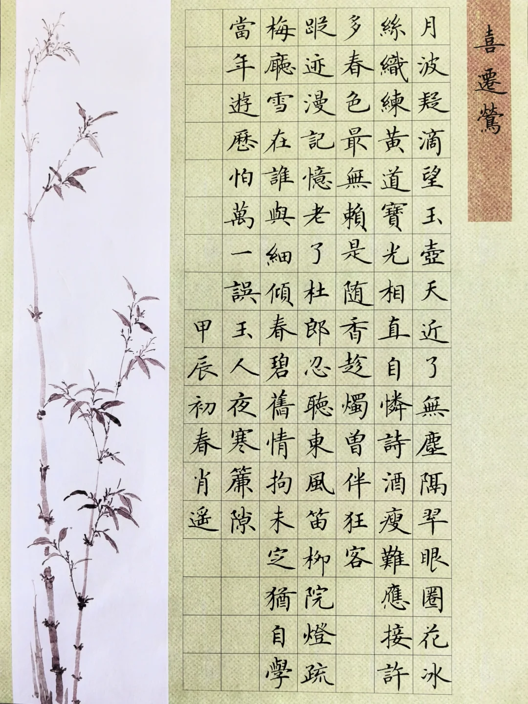 硬笔楷书｜临卢中南小楷