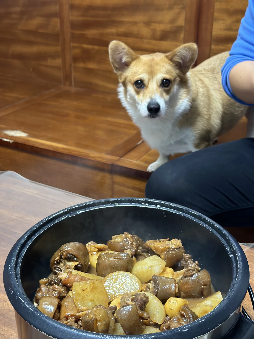 广东家常菜