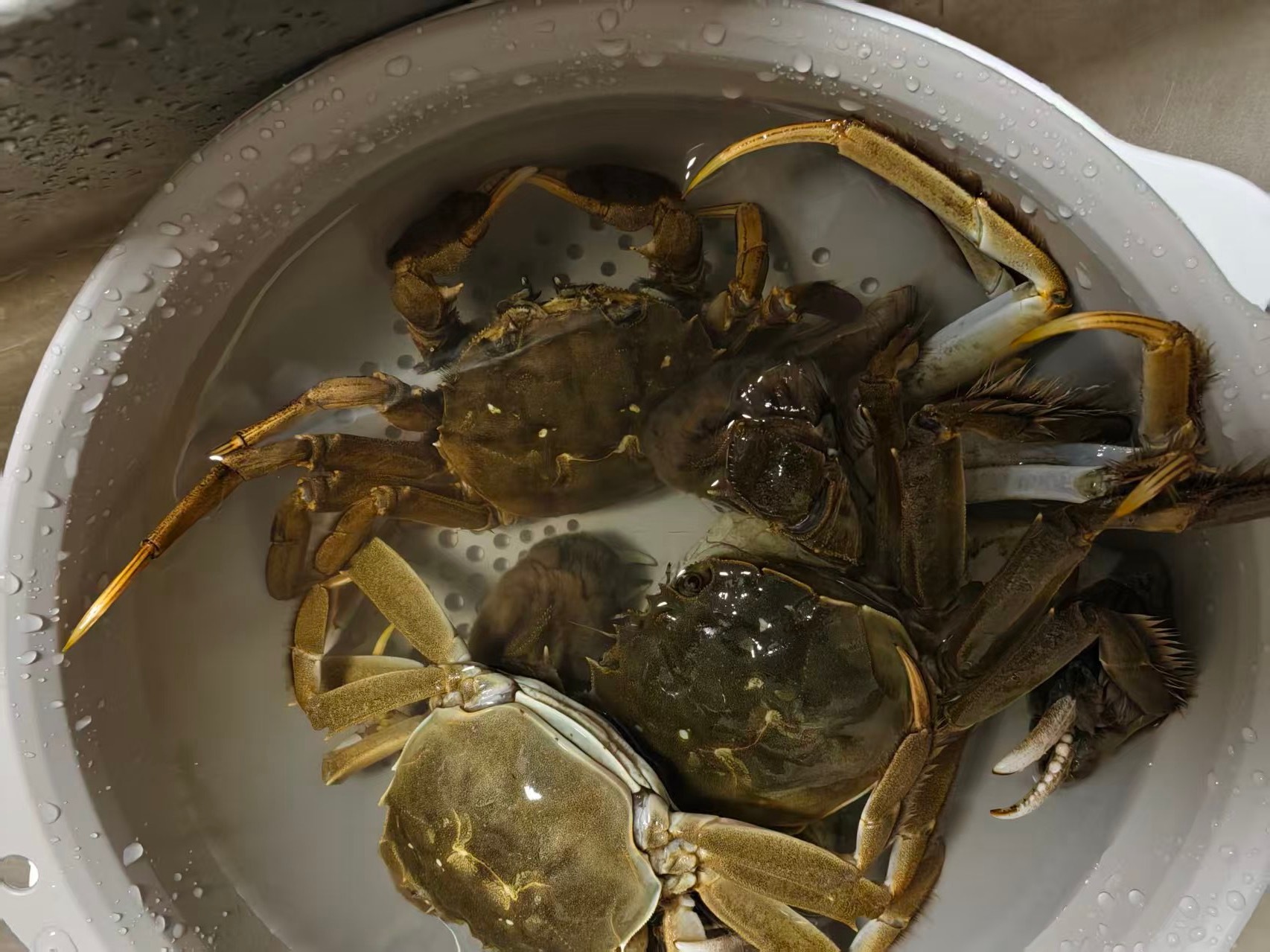 坚持运动打卡300卷腹380哑铃210俯卧撑。用时24分钟，最高心率170次。本