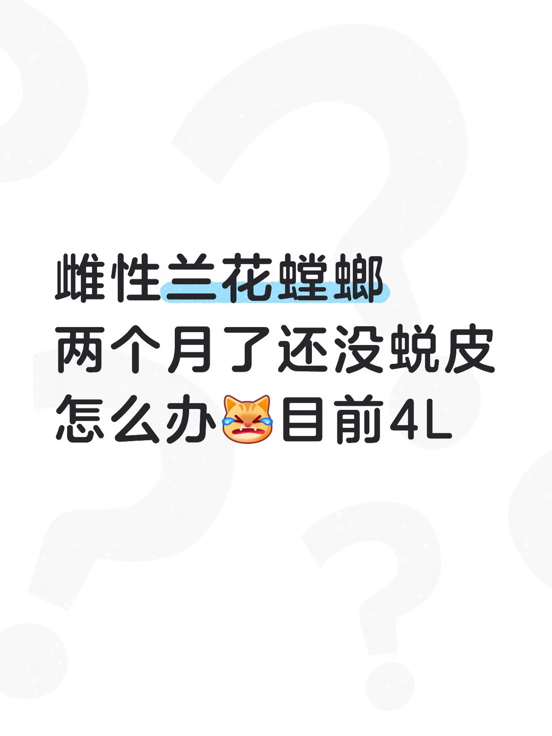 总感觉他要蜕皮了，结果就是不蜕