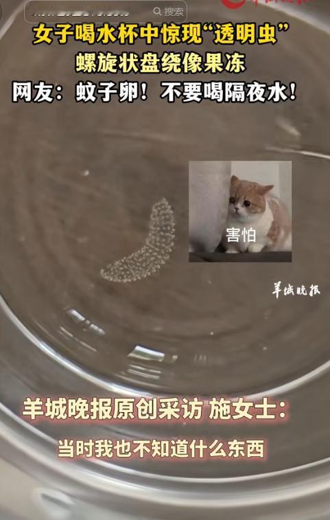 “头皮发麻！”云南大理，一女子起床前喝了半杯隔夜水后，竟然惊奇地发现杯子里面有一