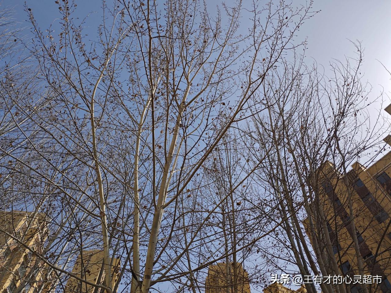 有些再见，真的就是最后一面
 
     这个年，没有丝毫欢喜，只有接二连三的噩