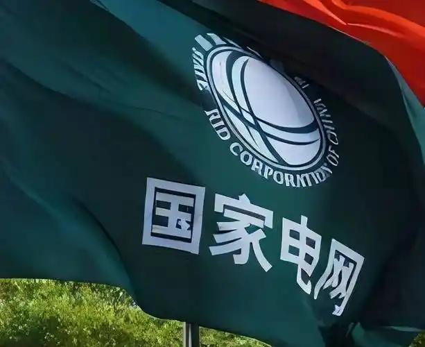 看见了吧？关键时刻，咱们的电价是西方的1/10。[大笑]生产一吨稀土，电力成本占