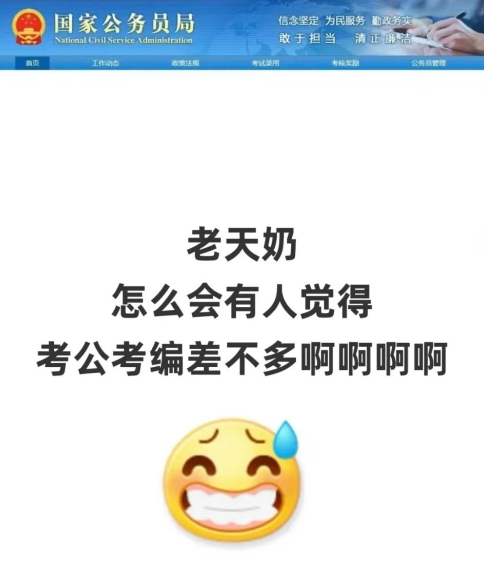 终于把考公和考编搞明白了 