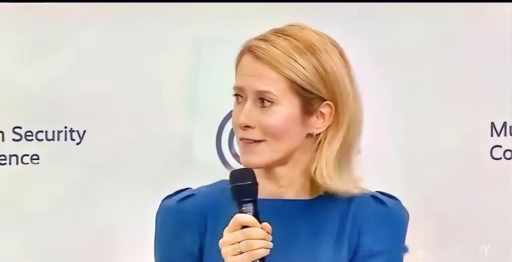 卡拉斯这句被网友总结成“你们需要我们强大，因为中国非常强大”的言论，核心内容真实