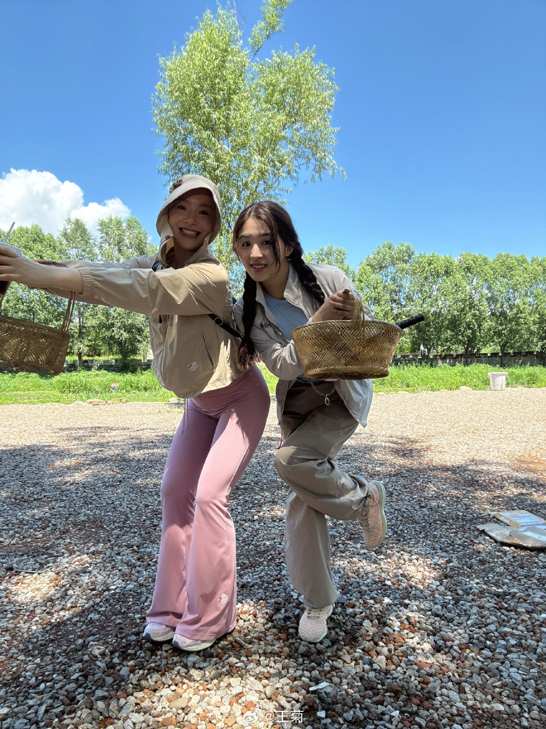 王菊张含韵友情 7月22日，晒与一起采蘑菇的合照，还形容俩人是“采蘑菇的小姑娘”