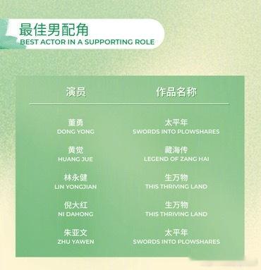 太平年提名的项目里，只有这个男配提名实至名归，其他的提名项目都很拉。第31届白玉