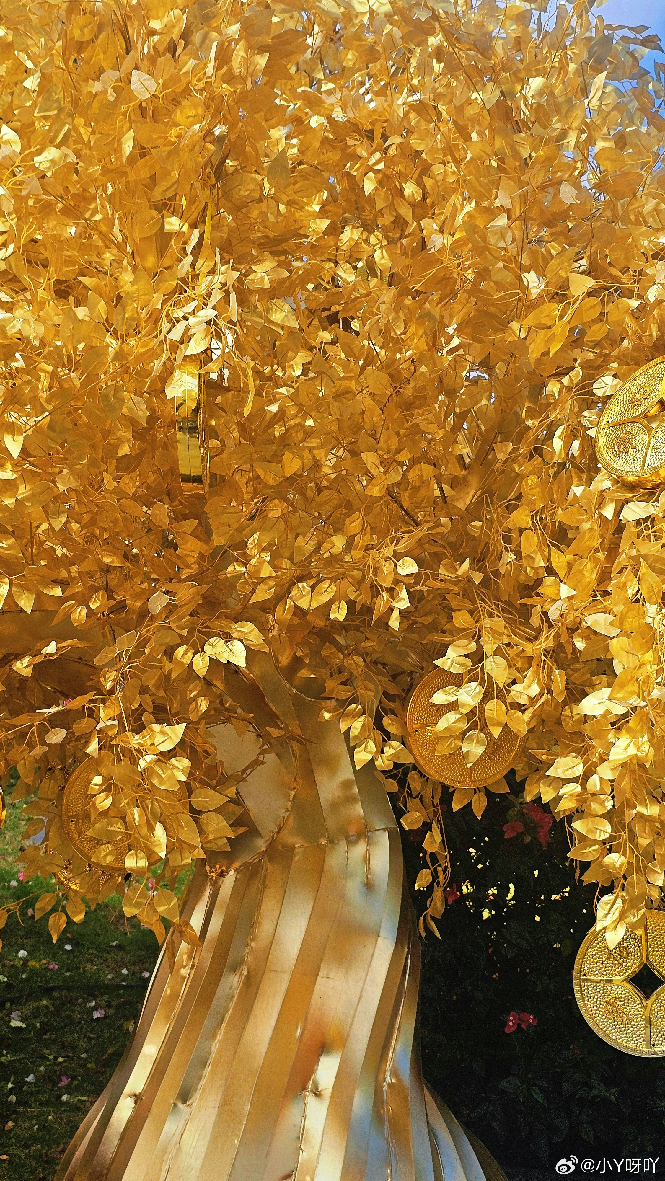 生活手记 三月，春天。🍃🌸🍂 