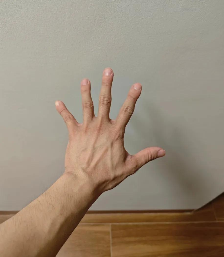 1米8的个子，手却只有1米6的尺寸掌根到中指才18cm，小得离谱。
小骨架真是坑