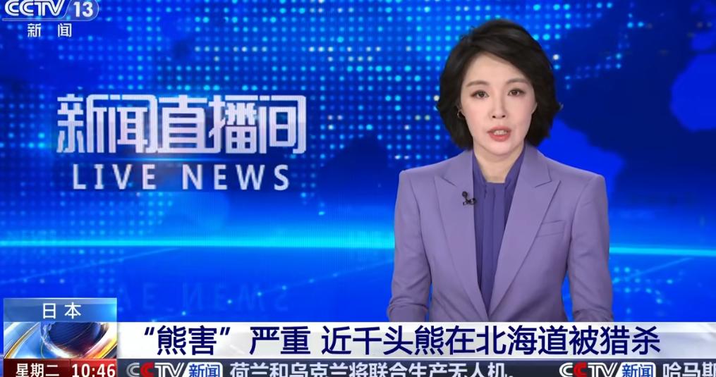 日本北海道出了件让人直呼“活久见”的事儿熊多到政府都处理不过来了！光是今年春天到