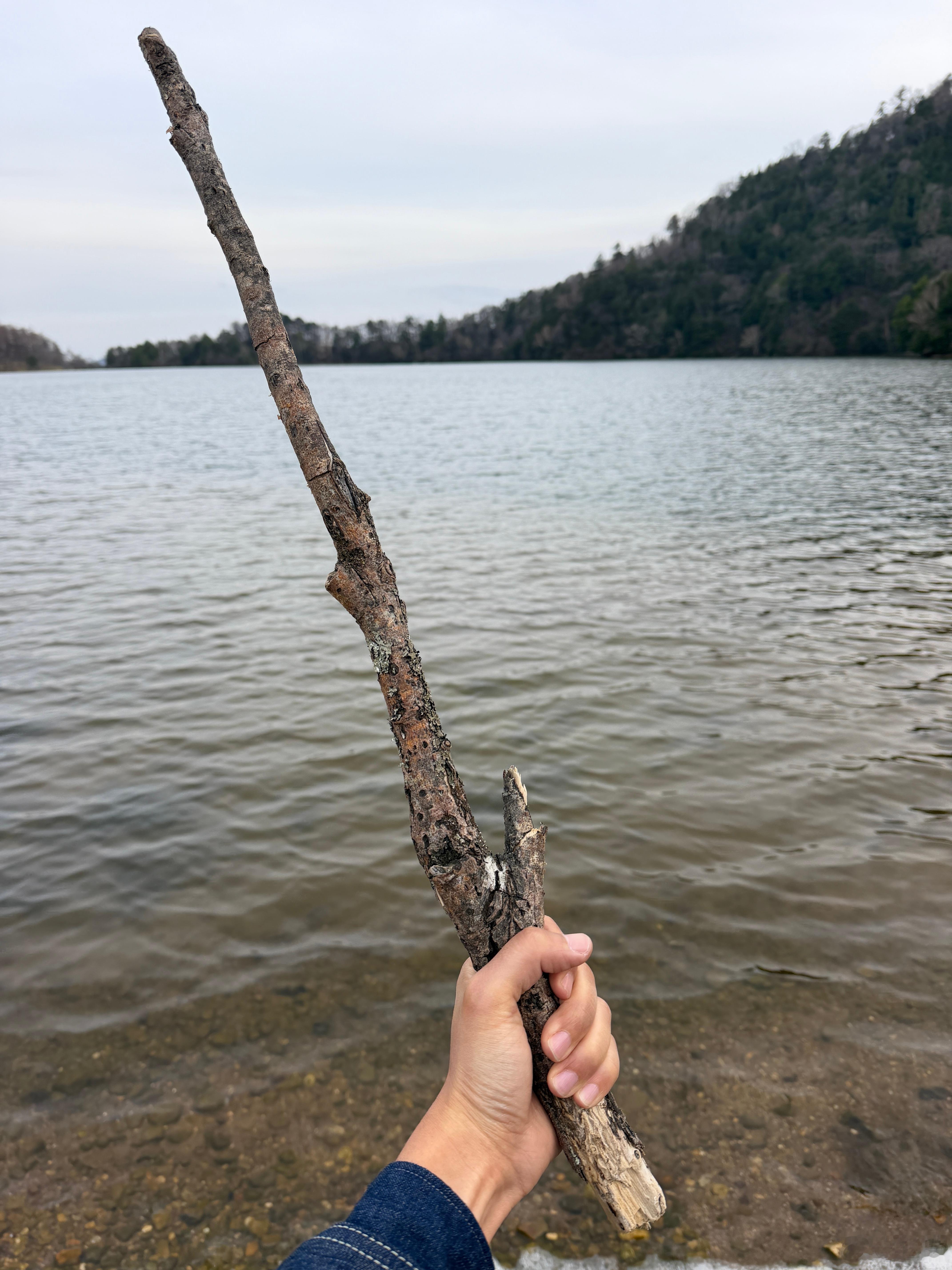 这么直的木棍，实在忍不住不捡起来耍两下。 