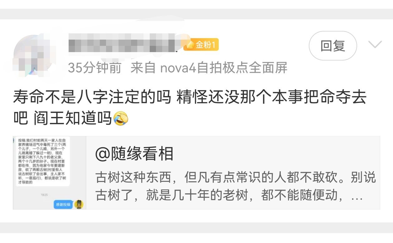 精灵怪没有决定人生死的大权，但它可以让一个人运气变差，或者把一件事情推向极端。比