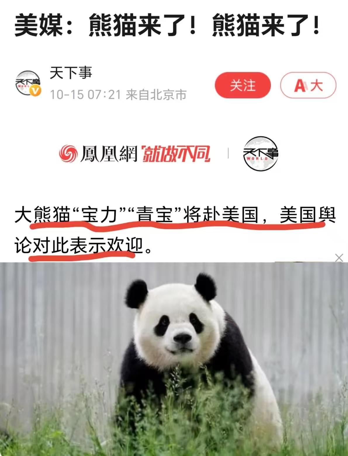 10月14日，美联社以《熊猫来了！熊猫来了！》（The pandas are c