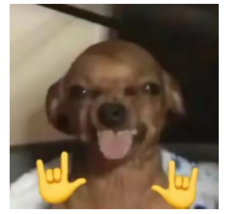 小猫发现自己和死对头贴贴后 一边互相嫌弃一边又离不开！这就是所谓的相爱相杀？ 