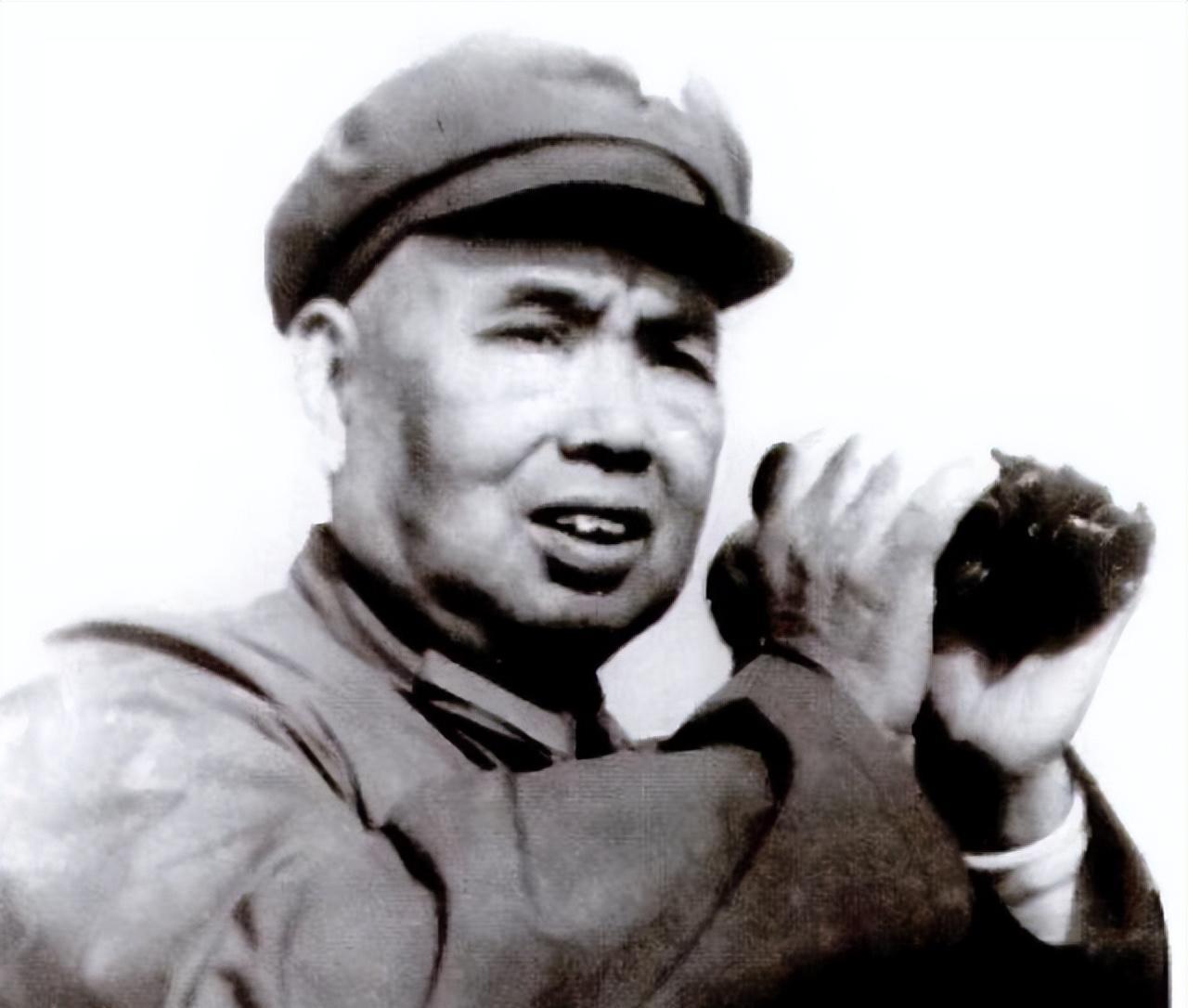 78岁的将军许世友，知道自己的生命即将结束，想以一种特殊的方式去看看自己的家乡许