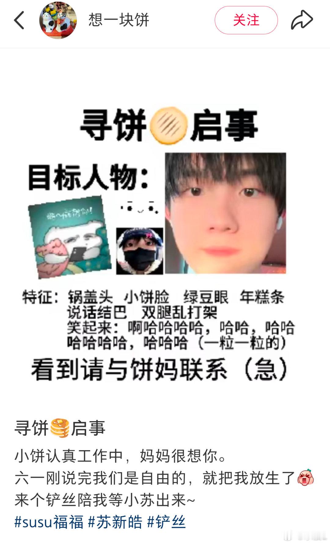 我🫓呢，谁看见我饼了苏新皓一路向海的少年