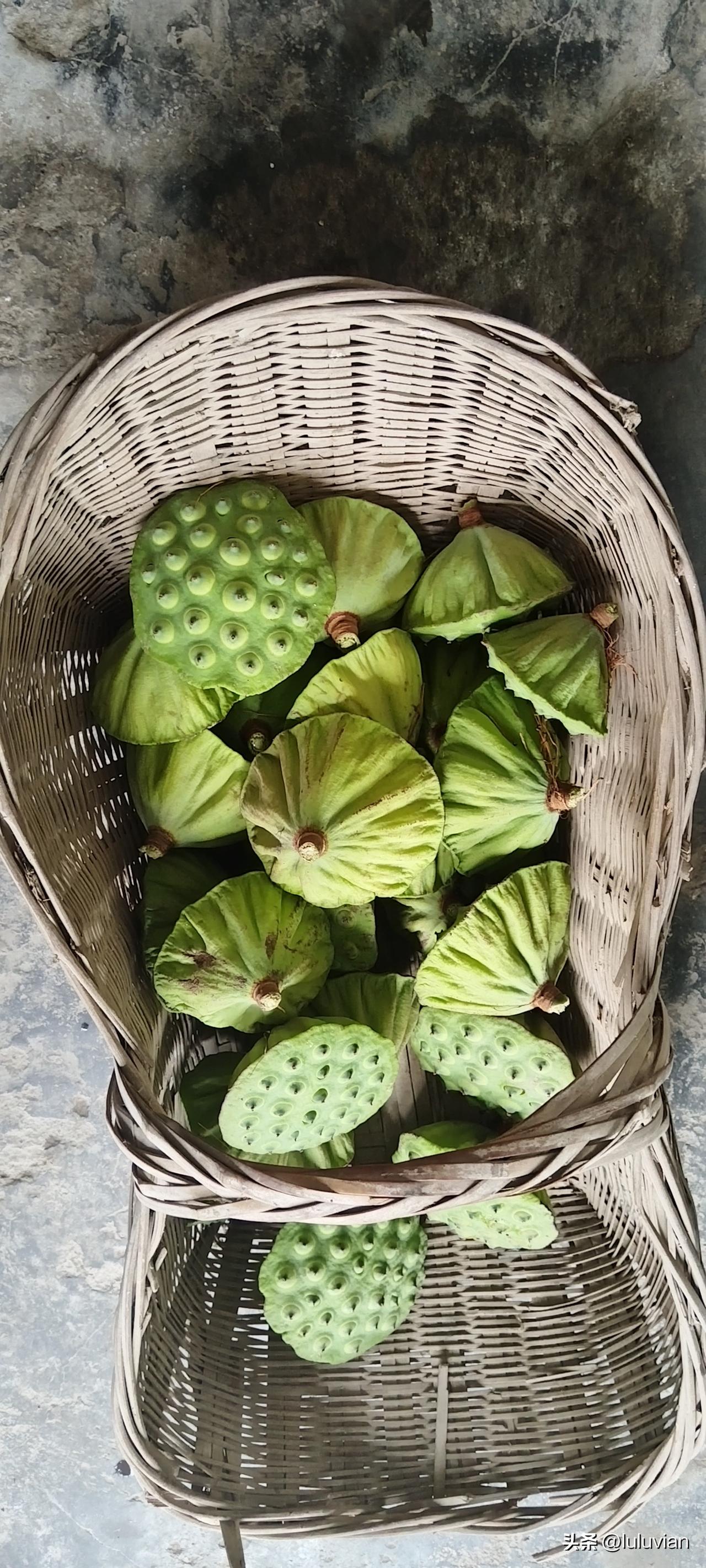 回老家了。
一切还是那么熟悉，一切好像又变了，八年没回来这个生我养我的地方了，村