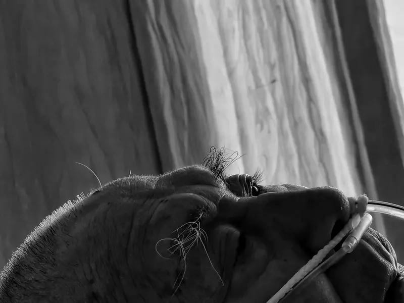 倾家荡产去救一个绝症老人，这问题太扎心了。有人觉得必须治，像有网友家里老人患癌，