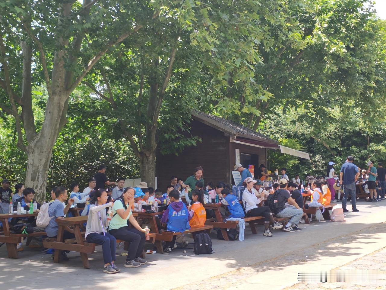 各地游客朋友们，如果你是想从南京马群中山学院的环陵路，走到紫金山头陀岭。一开始就