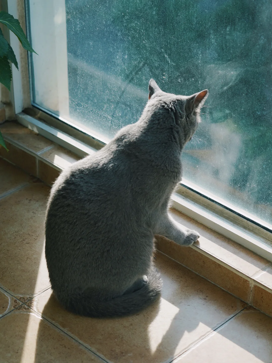 两个孩子各司其职