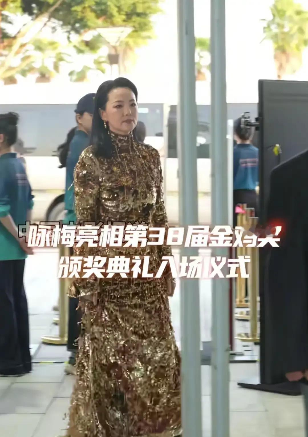 咏梅那条树皮裙，全网骂了三天
 
53岁露背，像把树皮缠身上，镜头一拉近，皱纹和