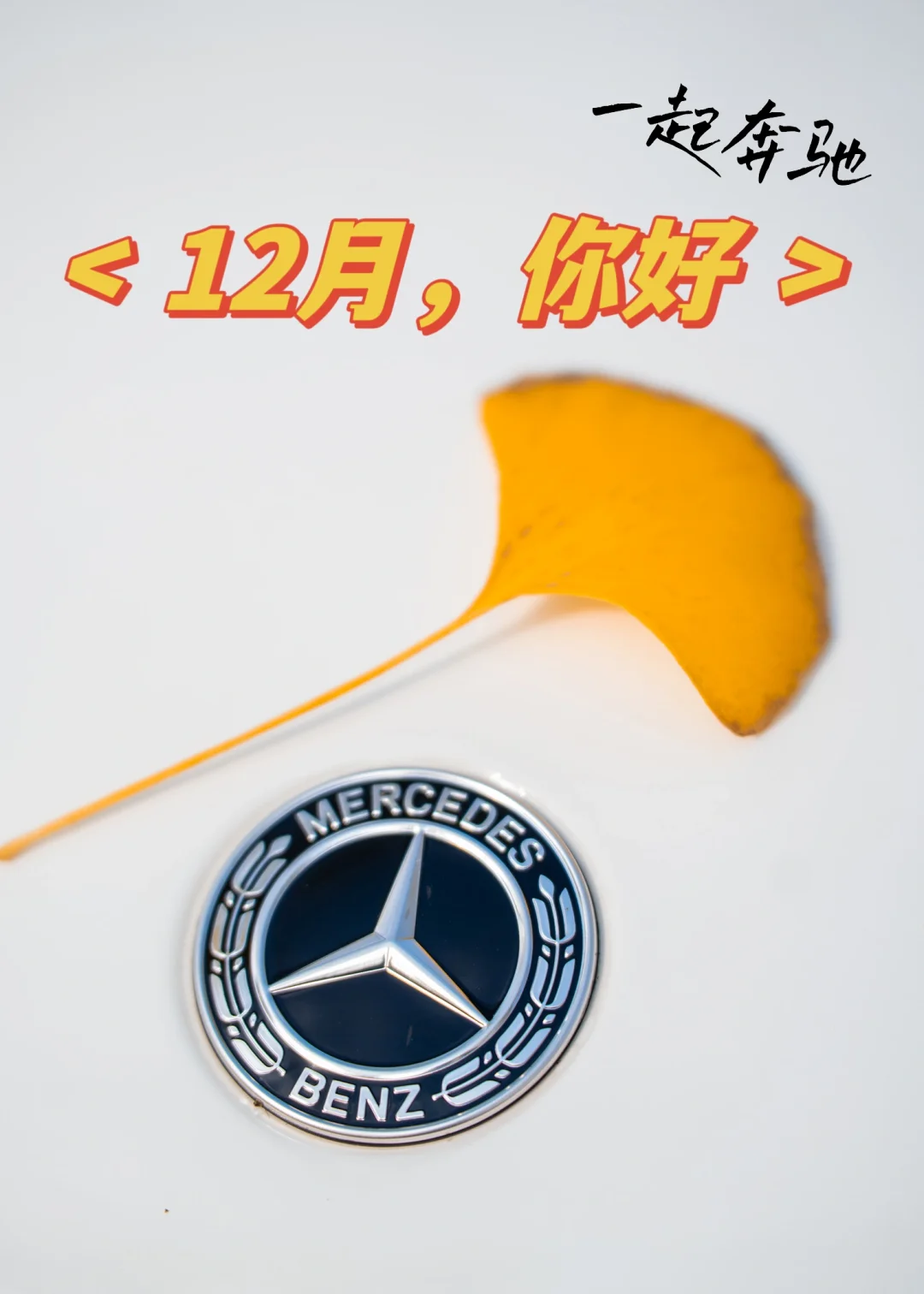 2024年最后一个月拿下奔驰，2025年一路奔驰