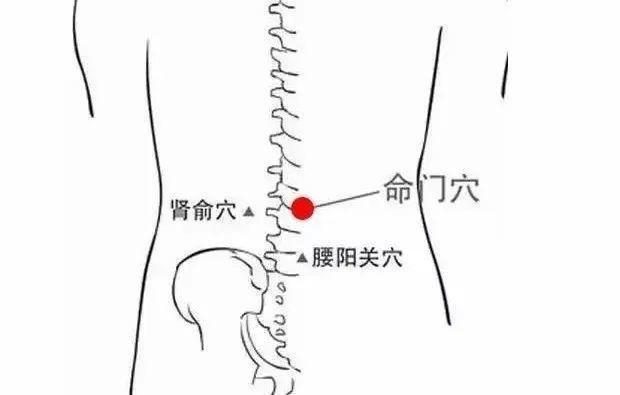 中医上有个名词，叫#命门火衰# 。简单点理解，就是肾阳虚，是因为元气虚弱或肾精损