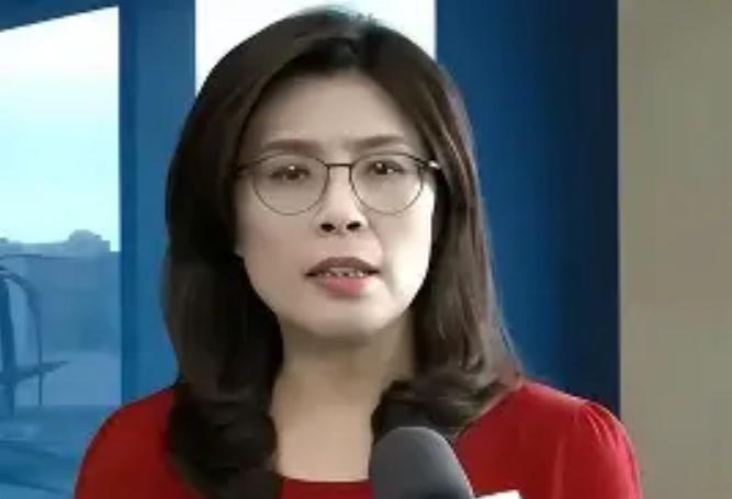 2026年7月，距离国民党现任党主席郑丽文正式上任才刚满8个月，党内却已经出现了
