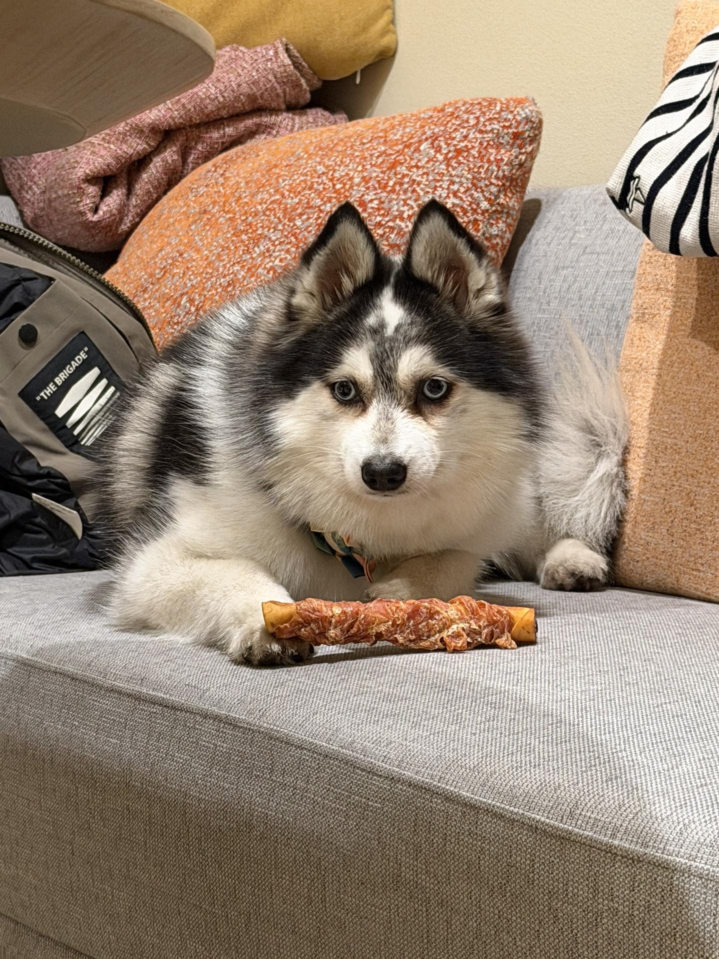 昨天抱到电瓶cei 的来集合了😂