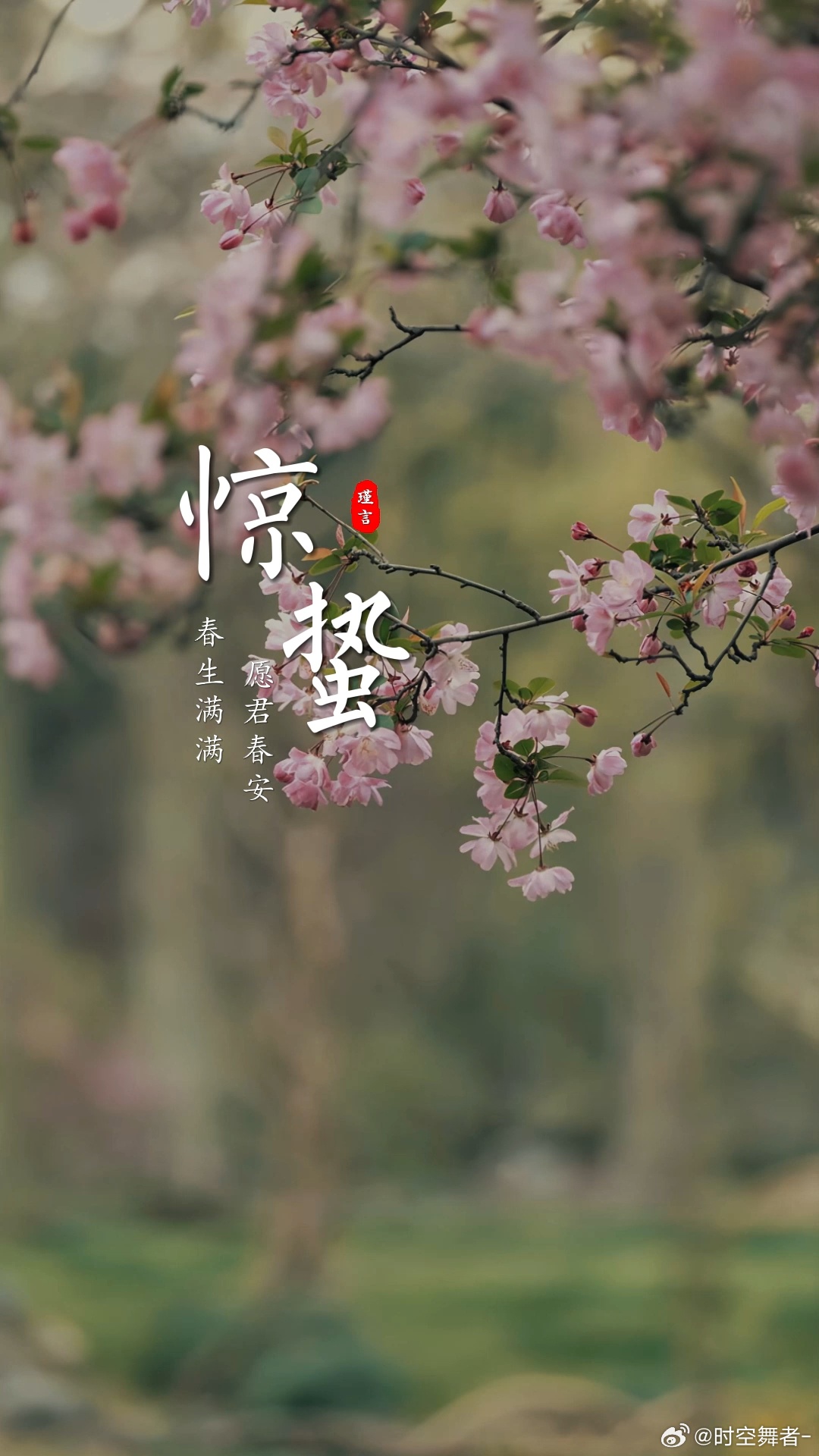 惊蛰春天的第三个节气。万物复苏，万事可期；春生满满，愿君春安。 