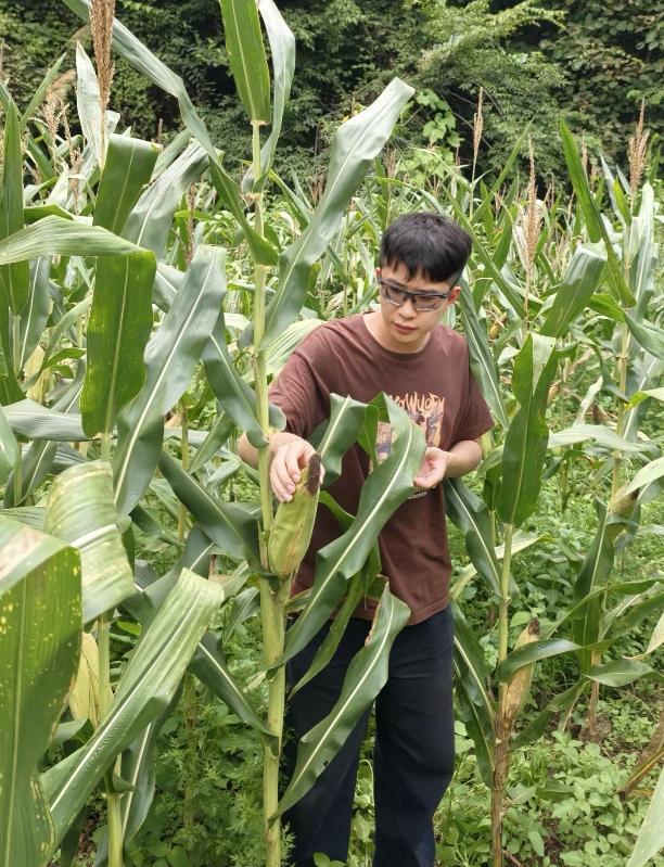 曝华为天才少年宁博宇8月5日离职，放弃百万年薪，原因让人感慨万千，在湖南老家卖玉