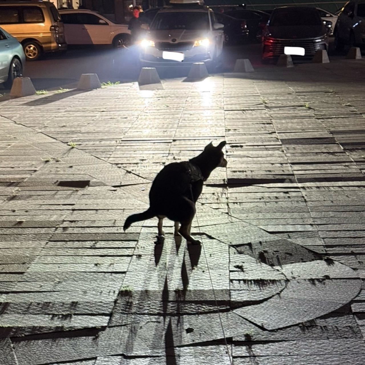 一定要这样吗 ​​​