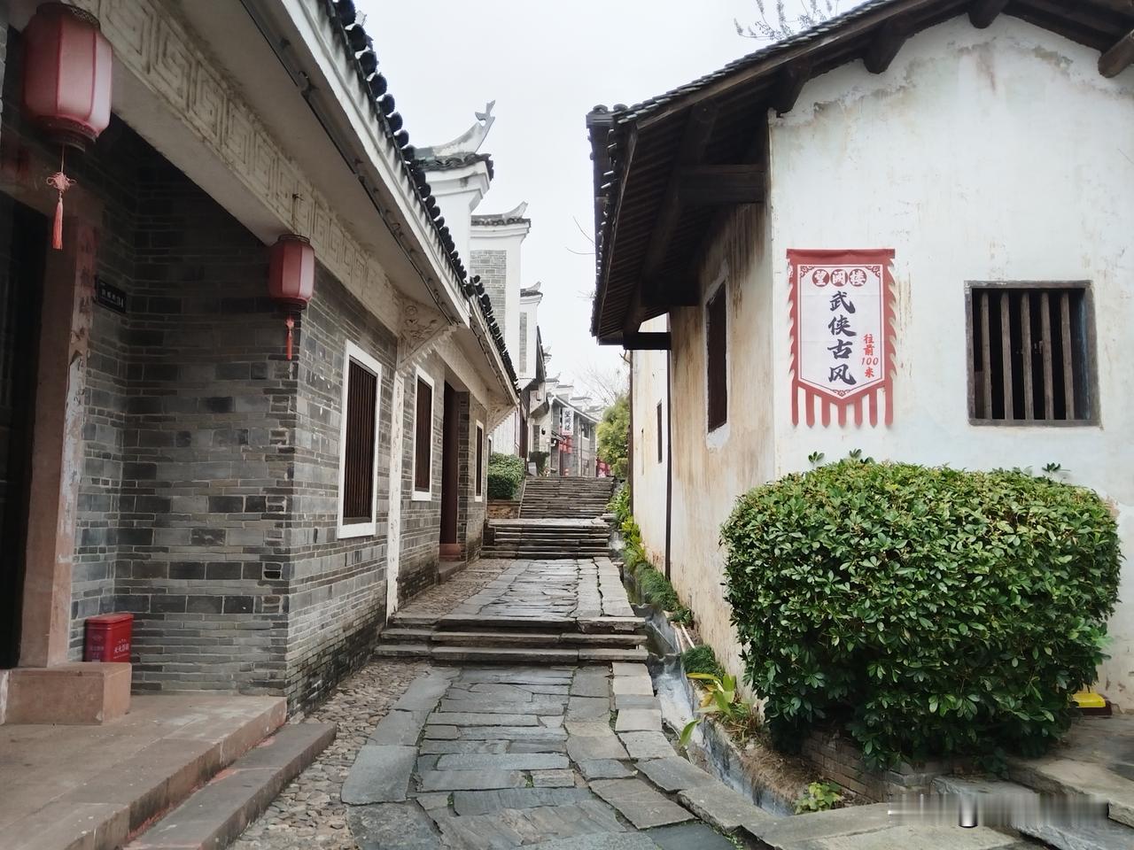 处暑，是夏天的告别，秋天的序曲。清晨的风，带着一丝凉意，轻轻拂过荷池，荷花已开始