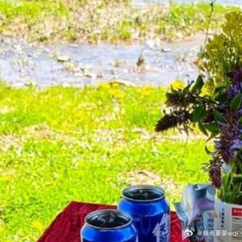 🎈📸╰(=̴̶̷̤̄₃=̴̶̷̤̄)╯🍞🍽🥂🍰🍇野炊小乐趣𝒢𝑜