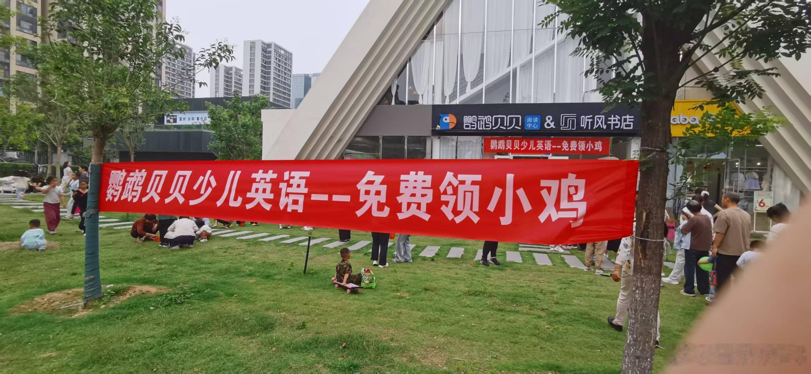 免费领的小鸡越养越大，还给它找了一只芦花鸡做伴，鸡粮，水箱，食槽都得有…还得铲鸡