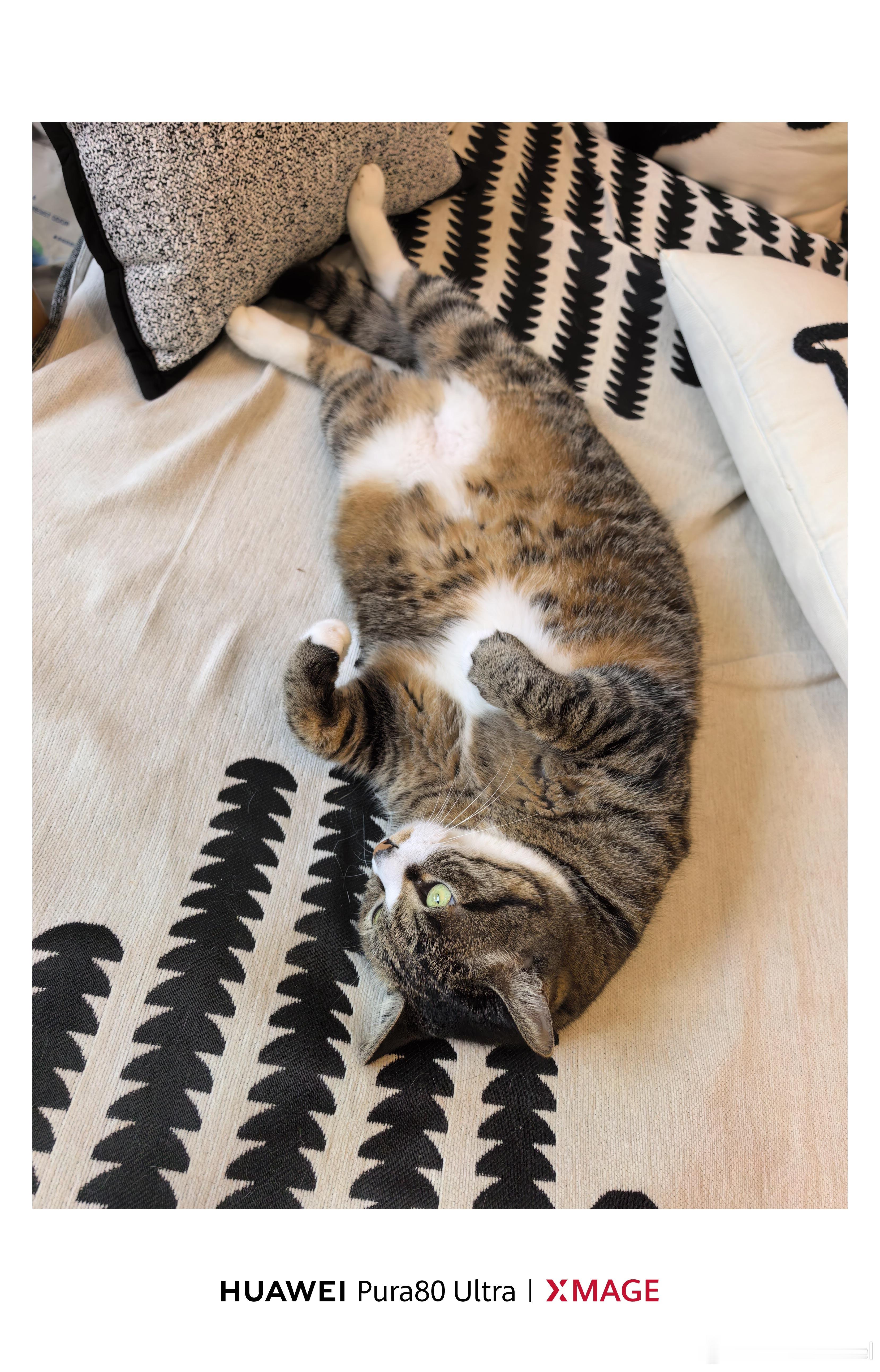 11月第一天，今年还剩两个月啦[喵喵] ​​​