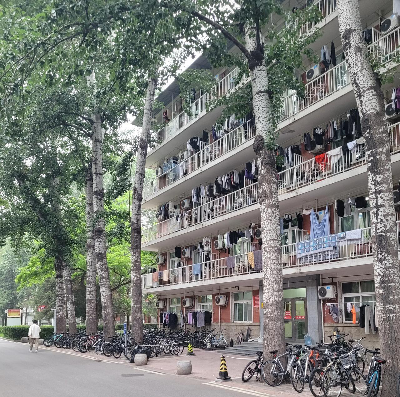 今年高考快开始了：看看新一届大学生将住哪里？

我傍晚散步去我们家附近的北京体育