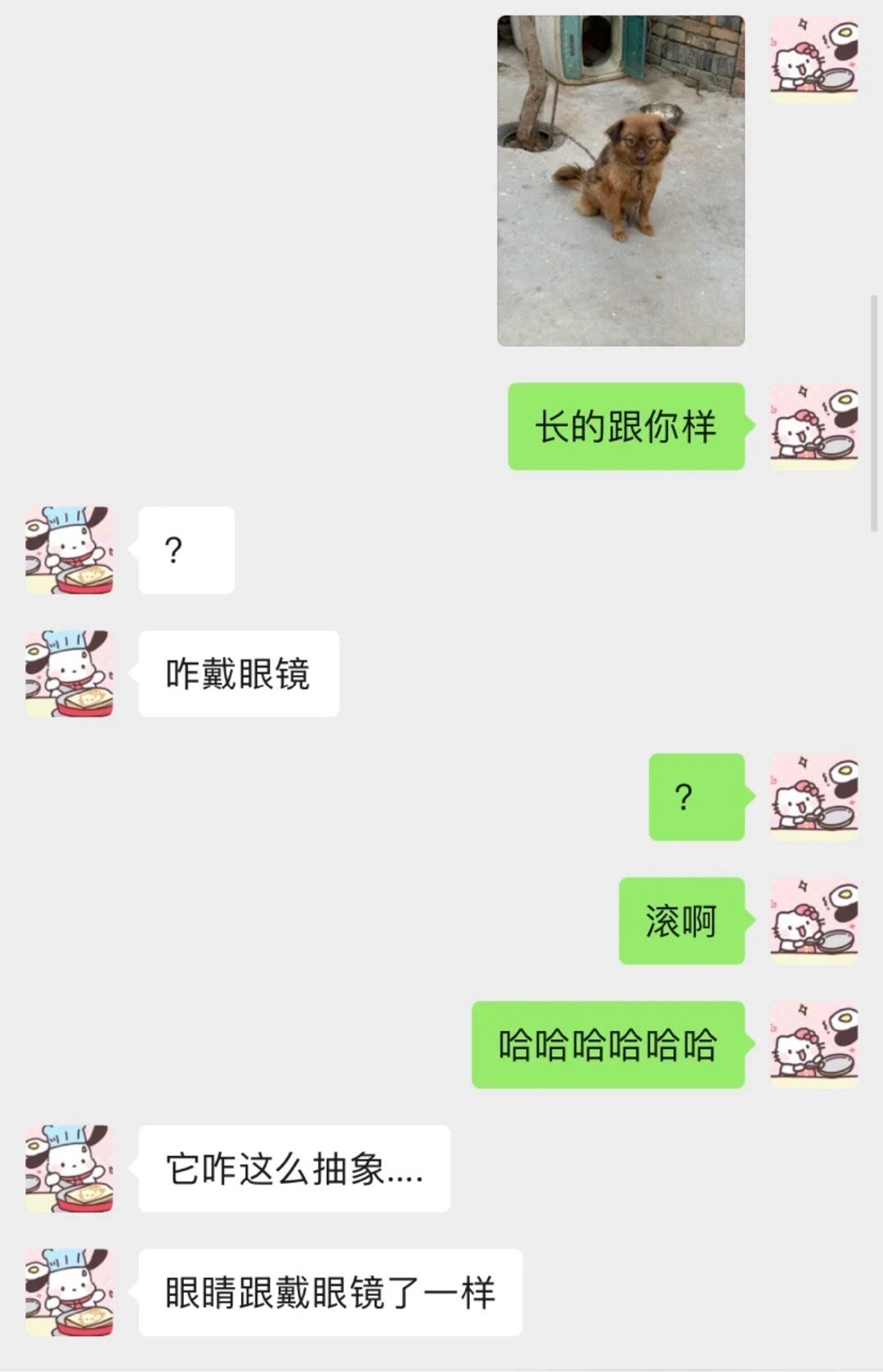 对象说我家小狗怎么还戴眼镜[doge] 