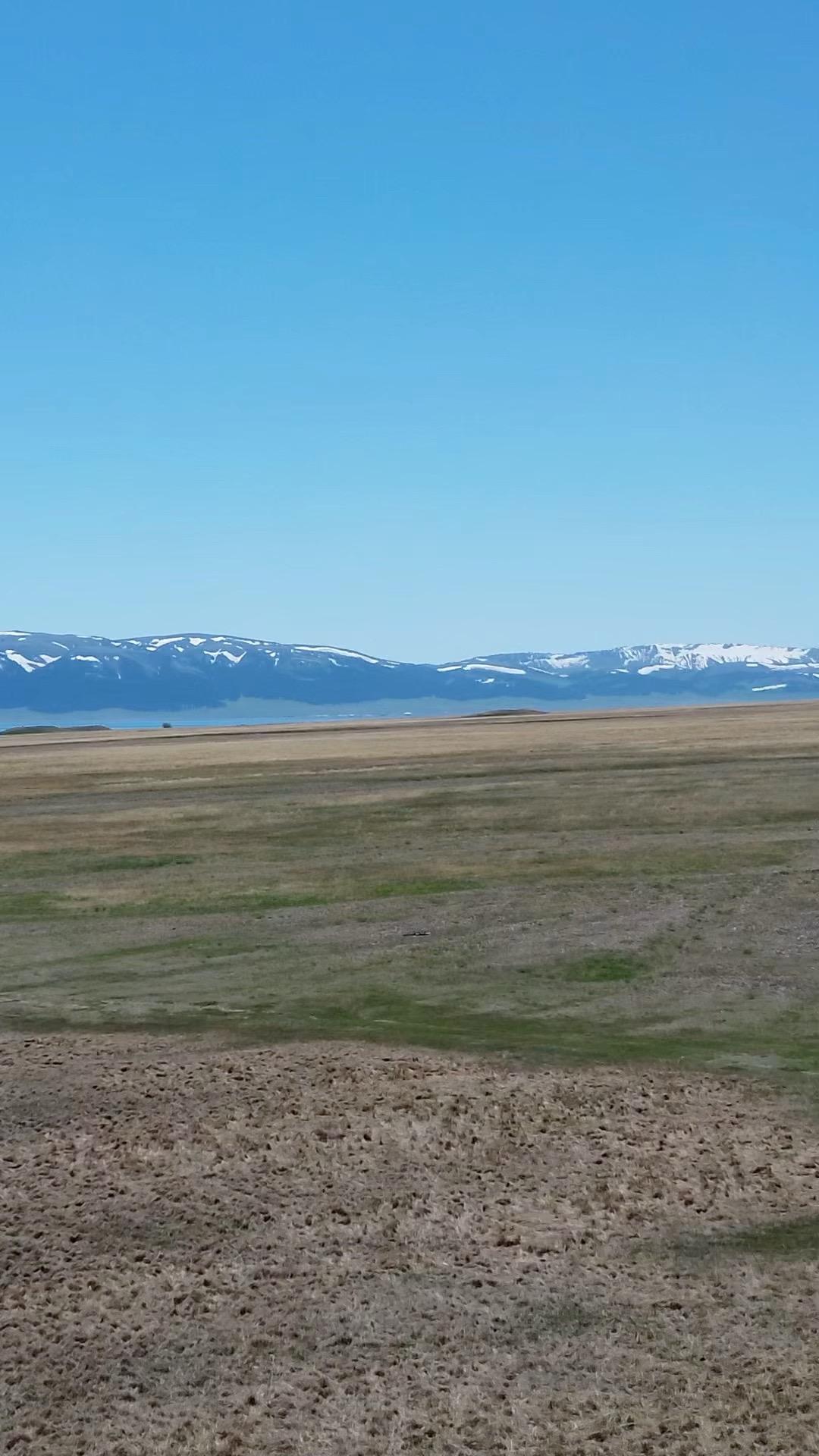 平民子弟出来第一件事要学会富养自己 保留实力，不要着急反哺  平民出身...