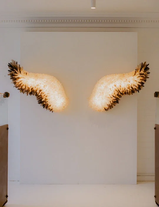 天使的翅膀🪽 水晶石壁灯