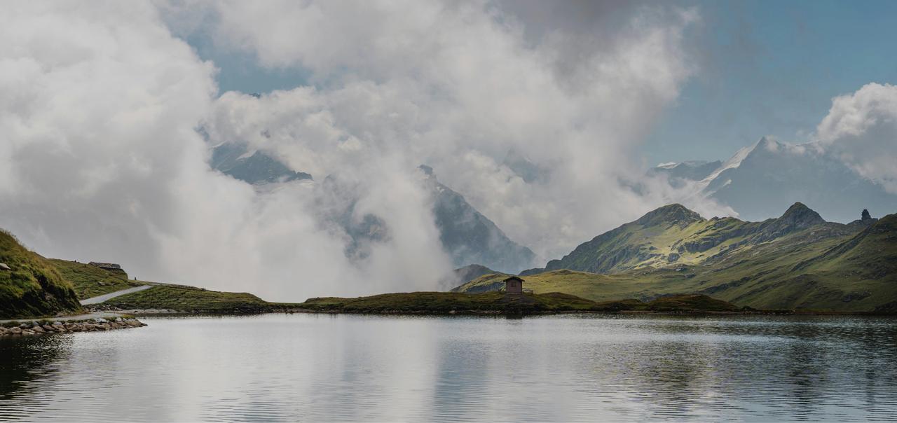 中国人到了新西兰，还真有点特权的感觉
所谓的特权可以理解为华人待遇，这种待遇是其