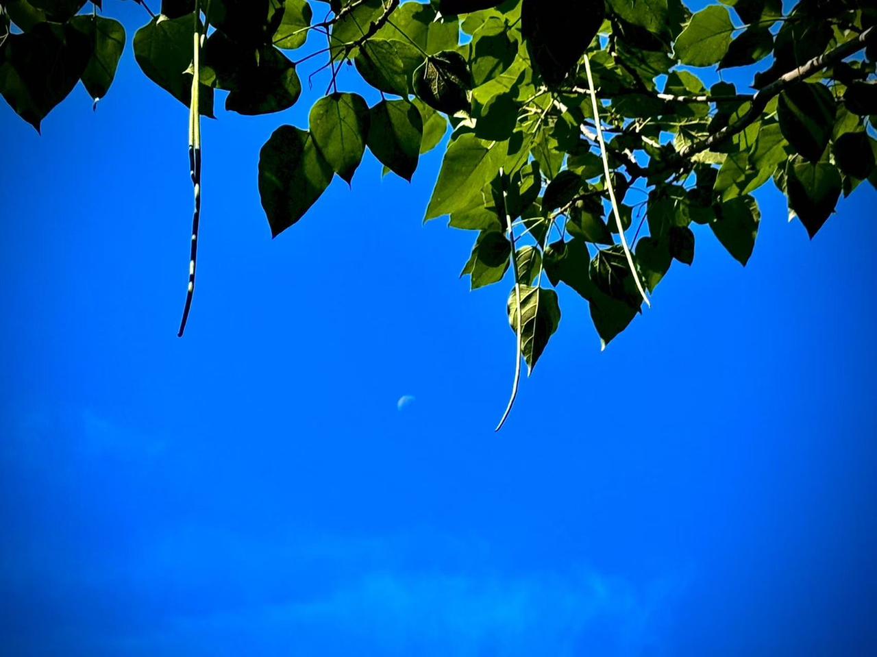 我的今日状态：😁轻松愉快
我这里的天气：☀️晴天
   静好的时光
     