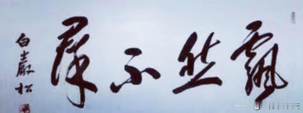 白岩松写的这4个字，谁要能认完，绝对是书坛名家