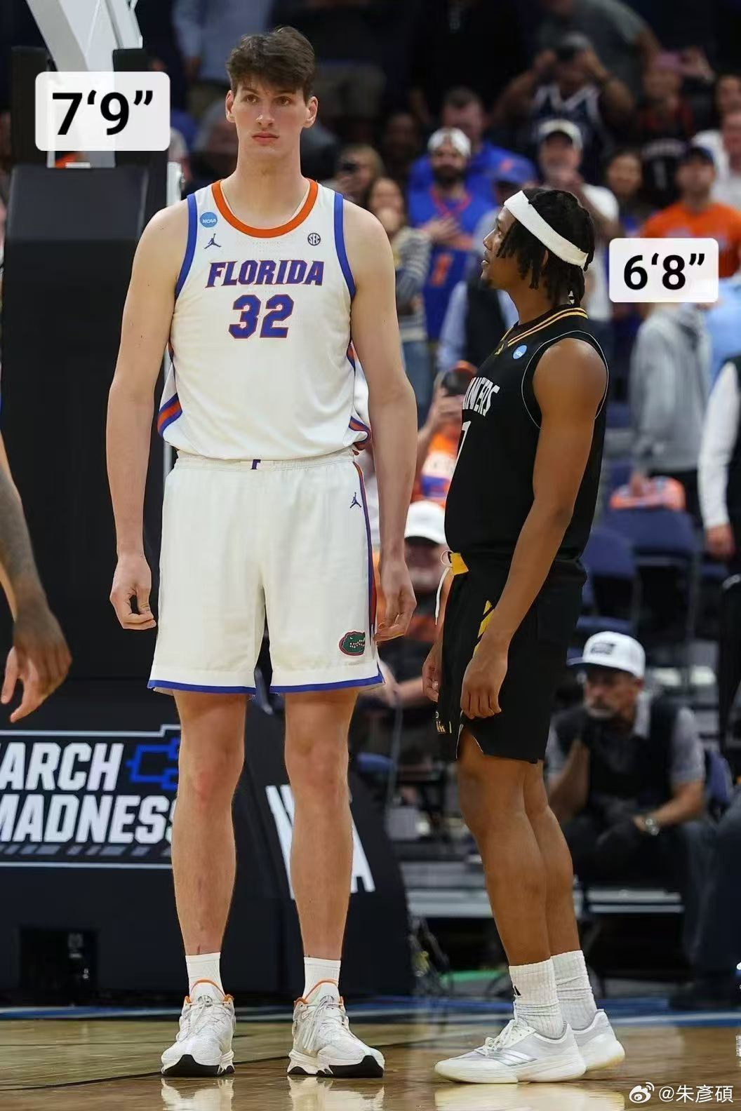 前兩天看到的，感受一下。