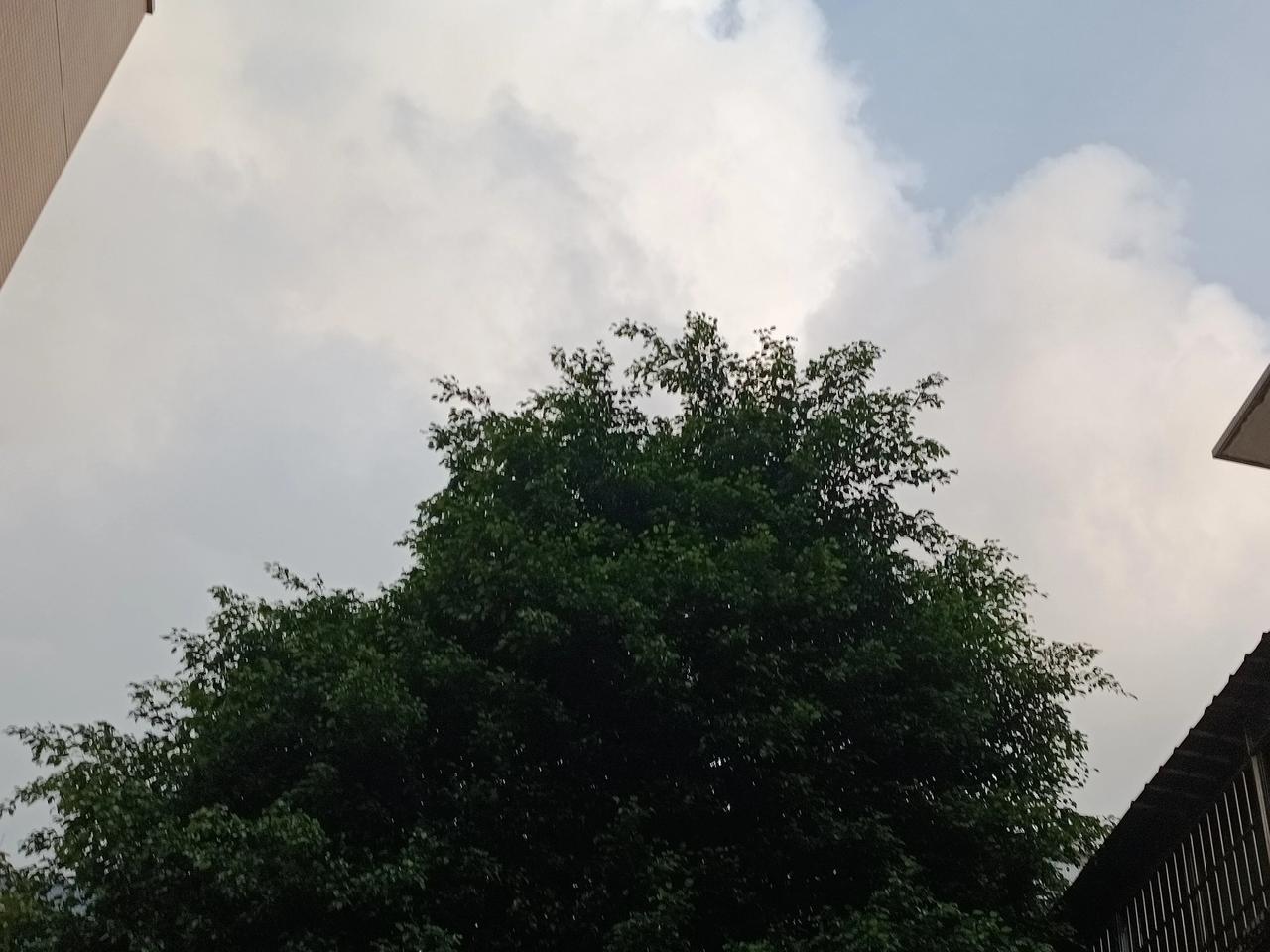 我认为喜欢，喜欢不喜欢也得过夏天
没有夏天，那来冬天
季节的交换百转干回
一年春