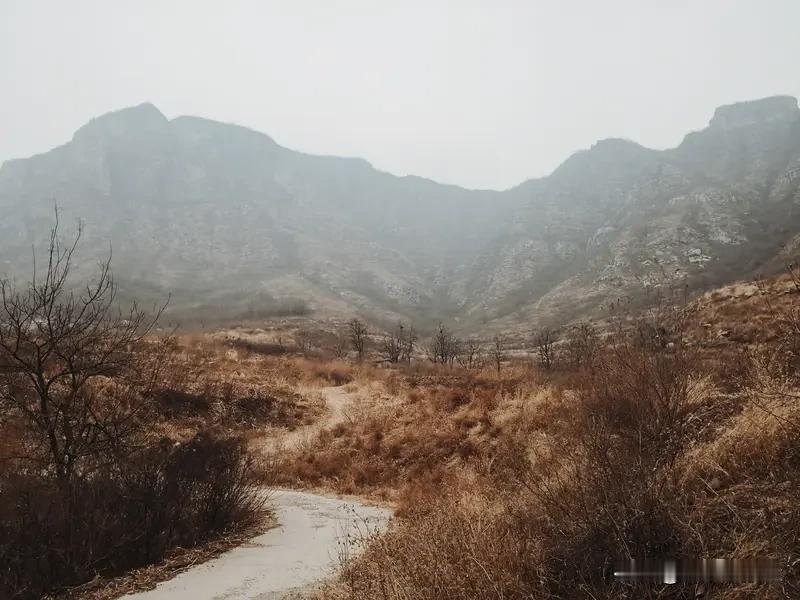 父母带娃爬野山孩子坠崖！这事真给所有家长敲警钟
 
刷到这新闻太揪心了！野山看着