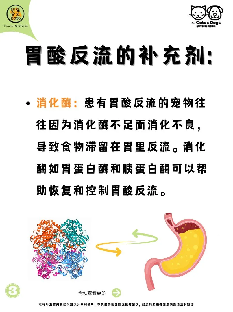 宠物胃酸反流