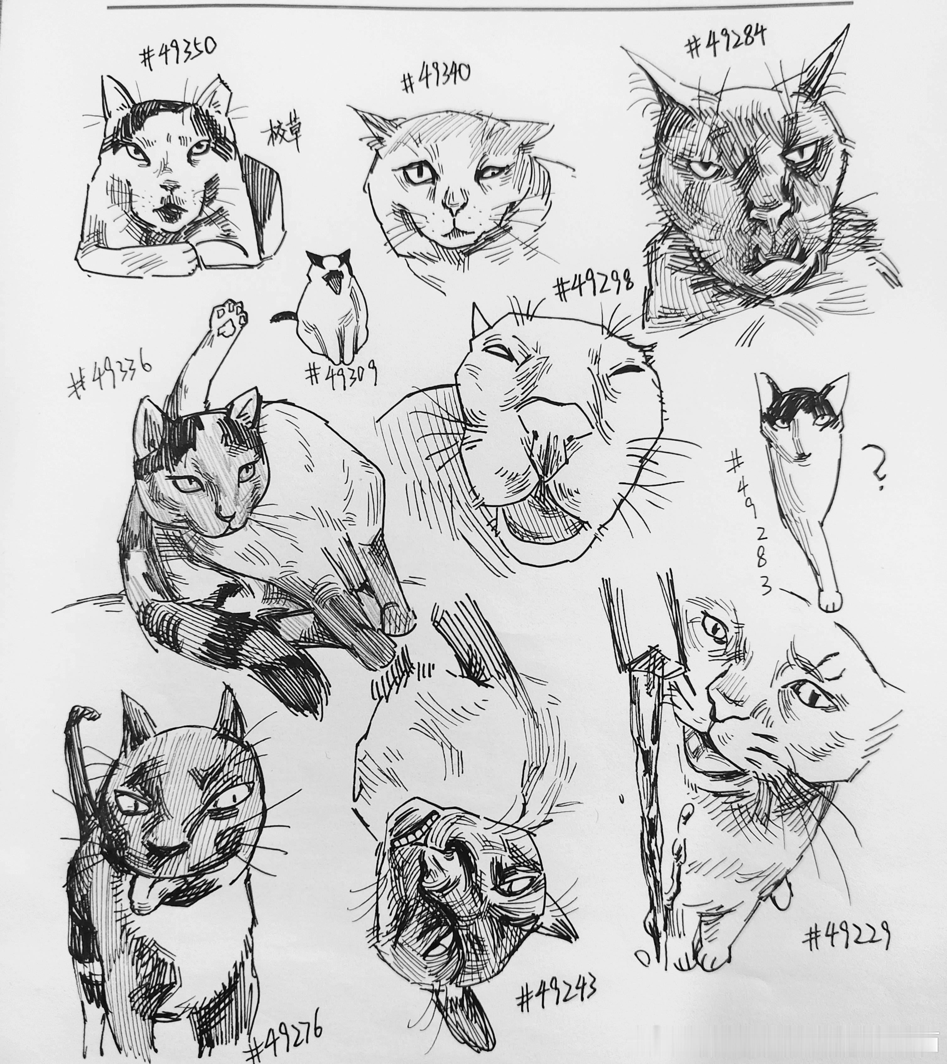 49517【丑猫】测报清得没我拉得快😾丑猫卢浮宫