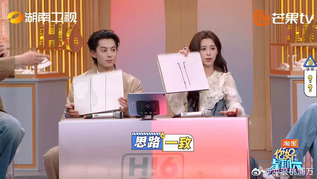 王鹤棣画白鹿简直是抽象派画图猜词环节，题目要求画“白鹿”，棣棣直接反手画了一条马